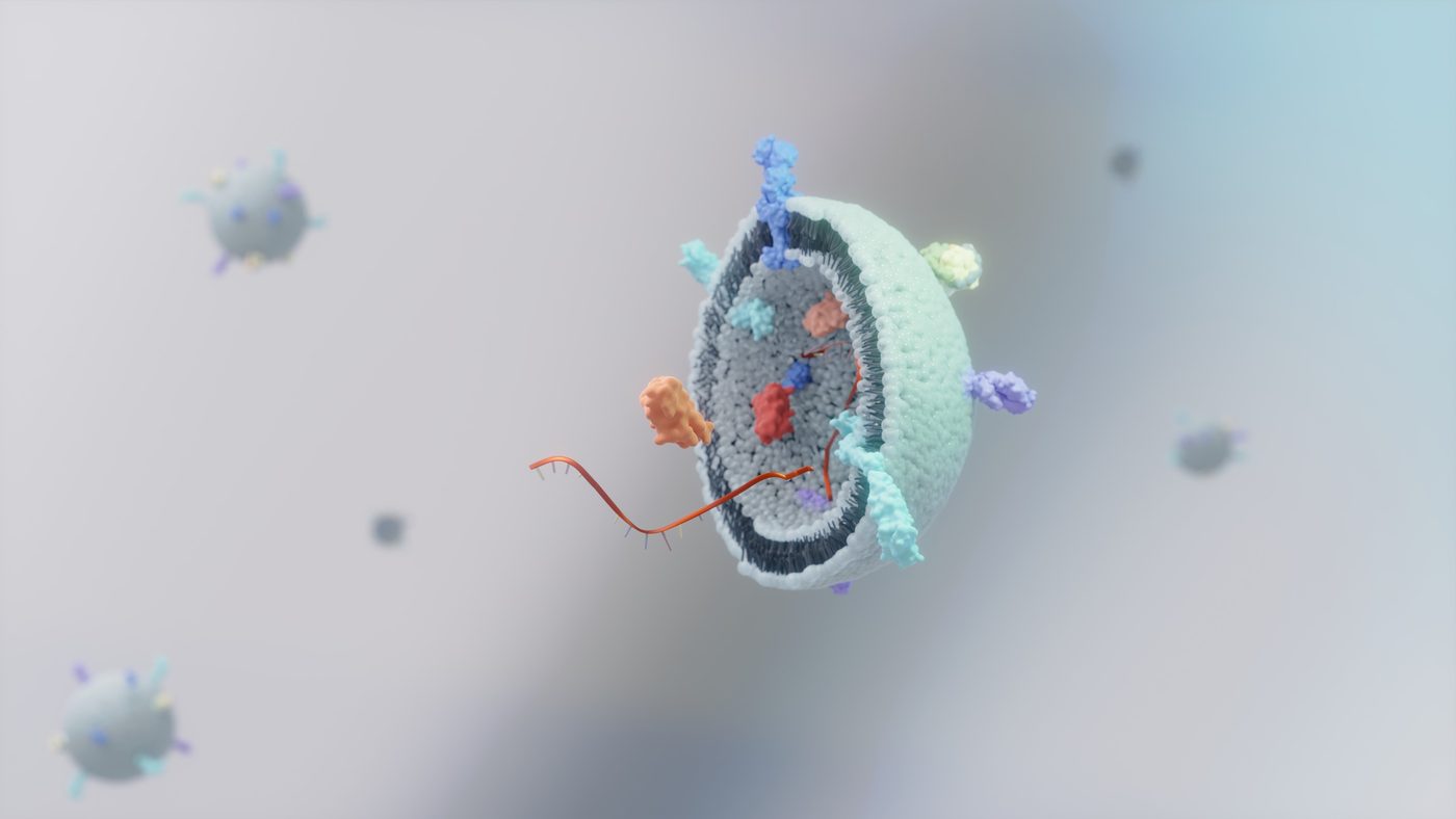 Vésicules extracellulaires – Skin Reverse, chirurgie esthétique et médecine régénérative du Dr Smarrito